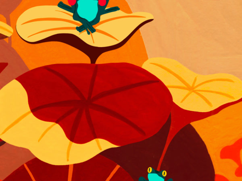 The Field From Spirited Away (Single)