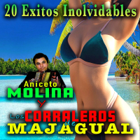 20 Exitos Inolvidables