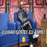 EU NAO GOSTEI EU ASMEI (Single)