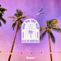 Wish You The Best (feat. Andreea Flavia) (Single)