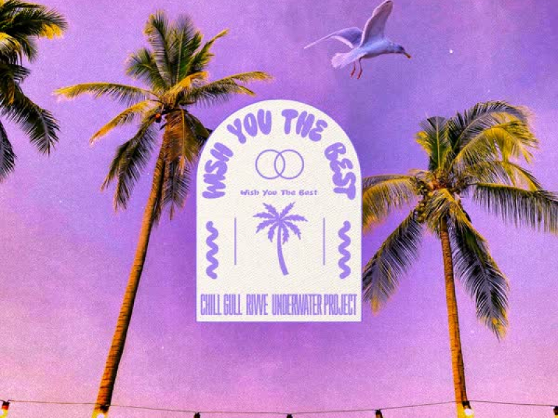 Wish You The Best (feat. Andreea Flavia) (Single)