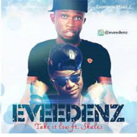 Take It Low (feat. Skales) (Single)