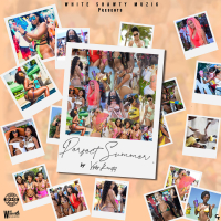 Perfect Summer (Single)