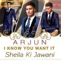 I Know You Want It (Sheila Ki Jawani) (Single)