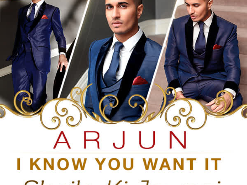 I Know You Want It (Sheila Ki Jawani) (Single)