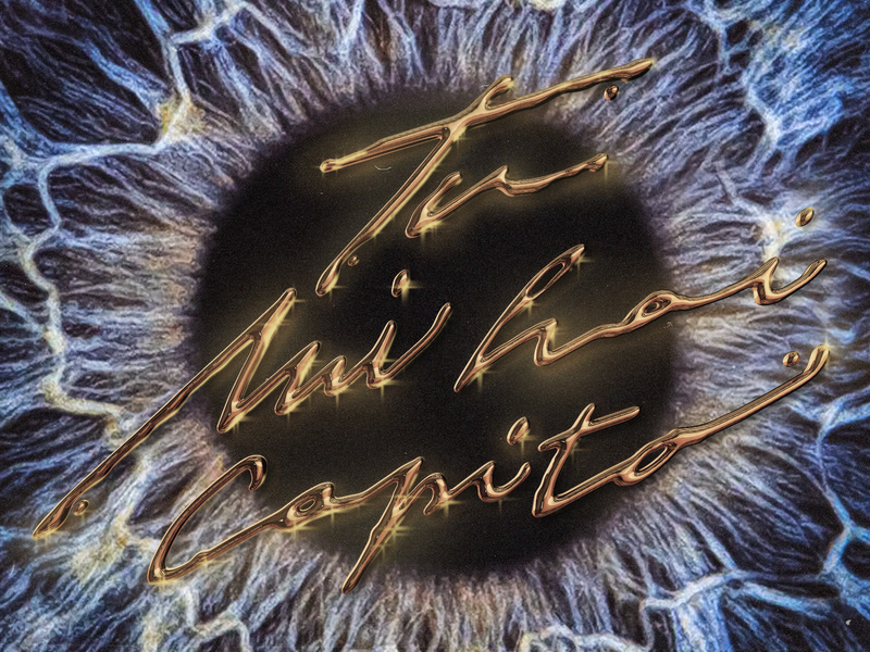 TU MI HAI CAPITO (Single)