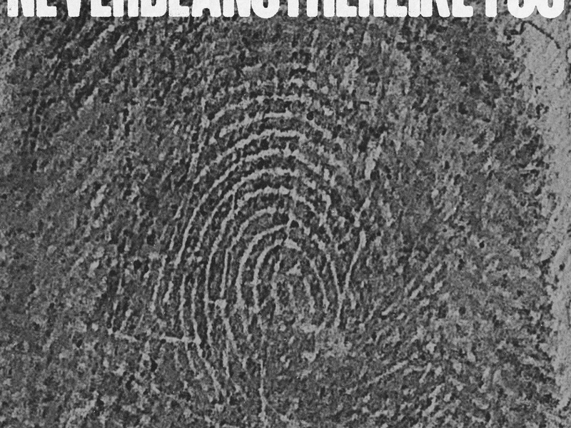 Never Be Another Like You (Single)