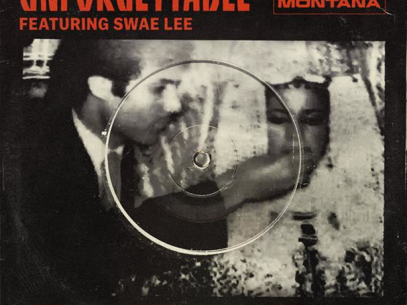 Unforgettable (Tiësto vs. Dzeko AFTR:HRS Remix) (Single)