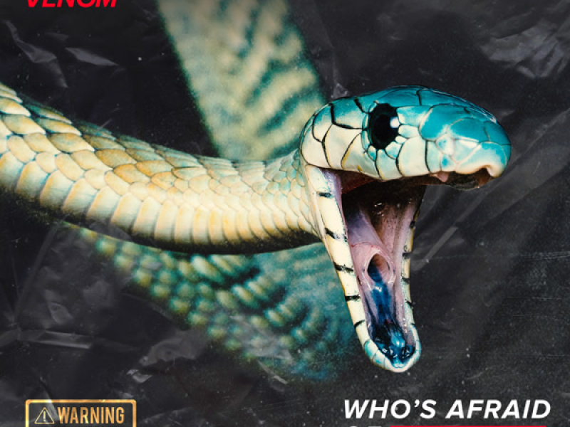 Venom (Single)
