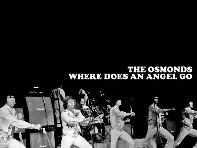 Where Does an Angel Go