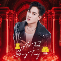 Ân Tình Sang Trang (Beat) [AnhVu Remix] (Single)