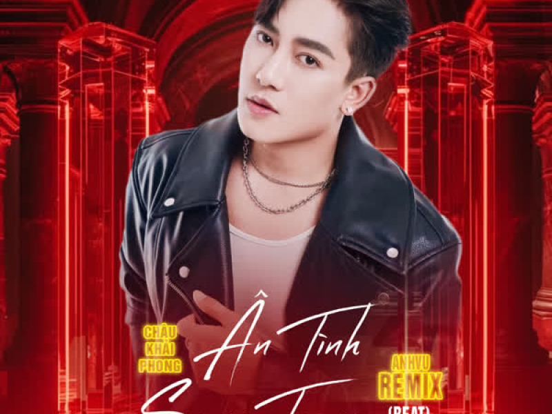 Ân Tình Sang Trang (Beat) [AnhVu Remix] (Single)
