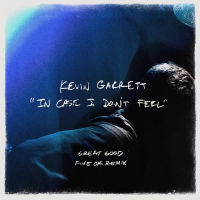 In Case I Don't Feel (Great Good Fine Ok Remix) (Single)