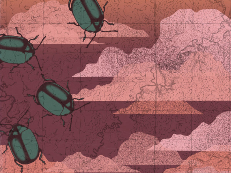 Still Life (Instrumentals) (EP)