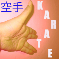 Musique pour Karaté Vol. 5 (Single)