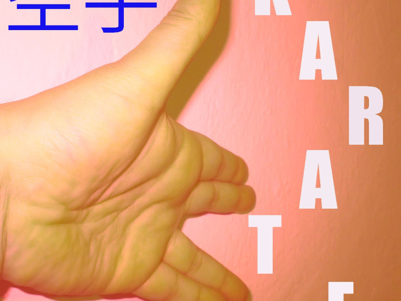 Musique pour Karaté Vol. 5 (Single)