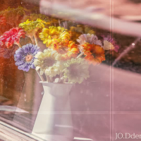 봄날의 어느 따스한 오후 (Single)