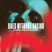 Goes Without Saying (Stereogamous Remix) (EP)
