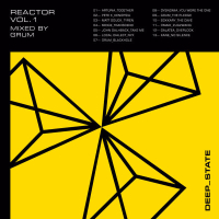 Deep State Reactor, Vol. 1 (Mixed)