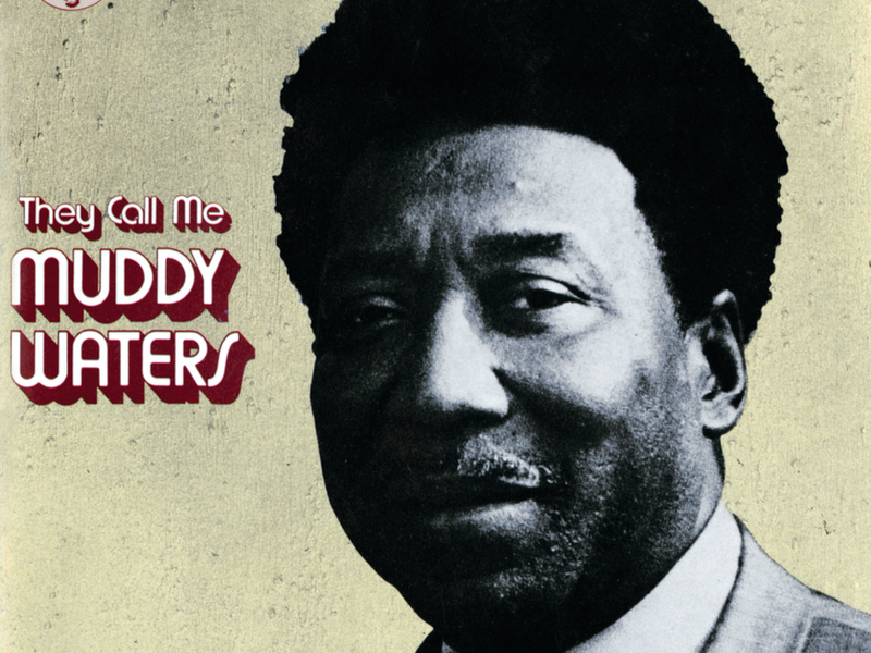 They Call Me Muddy Waters