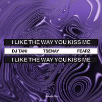 i like the way you kiss me (Techno) (Single)