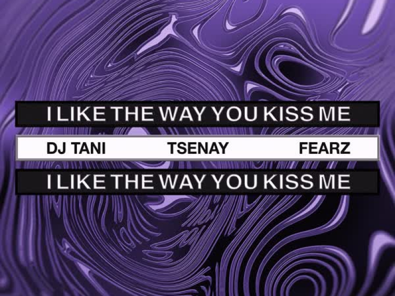 i like the way you kiss me (Techno) (Single)