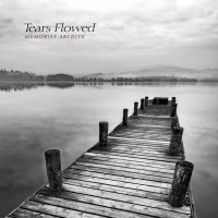 Tears Flowed (Single)