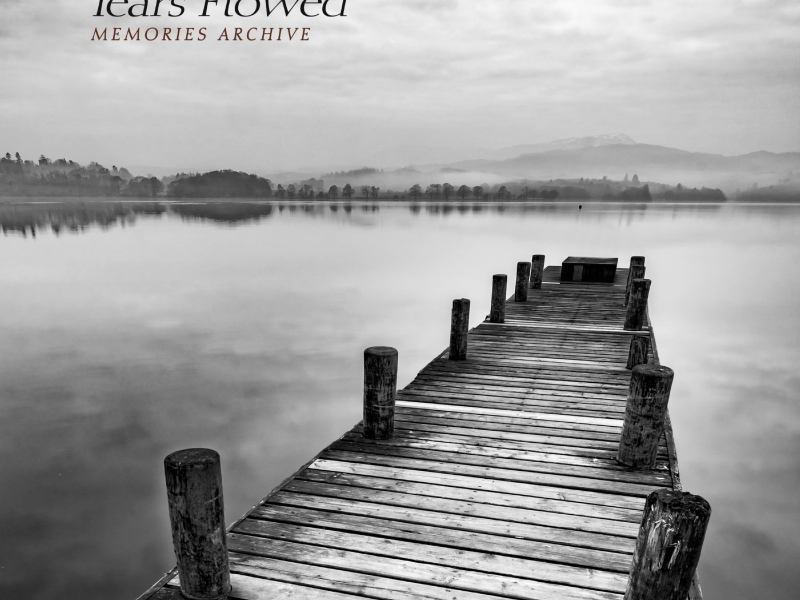 Tears Flowed (Single)