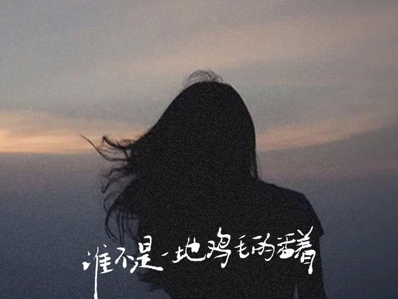 谁不是一地鸡毛的活着 (Single)