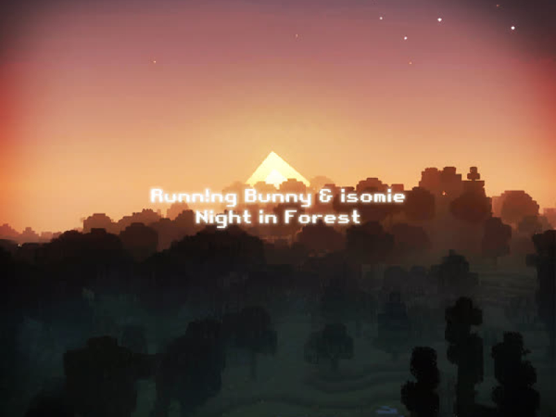 Night in Forest (Single)