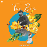 Tere Bin (Single)