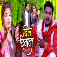 Dil Diwana (Single)