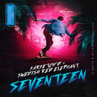 Seventeen (Single)