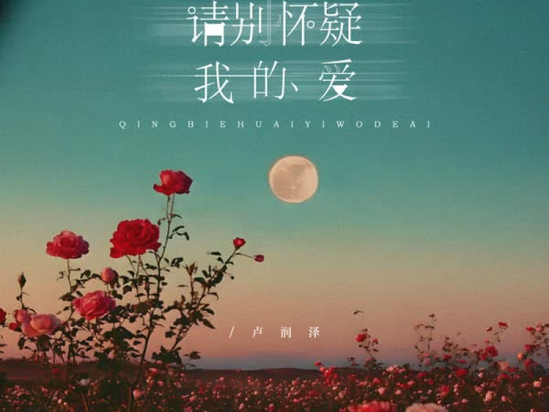 请别怀疑我的爱 (节奏氛围版) (Single)