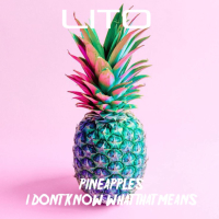 Pineapples I Don't Know What That Means (Radio Edit) (Single)