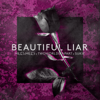 Beautiful Liar (Single)