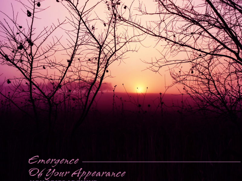 Emergence Of Your Appearance (Single)