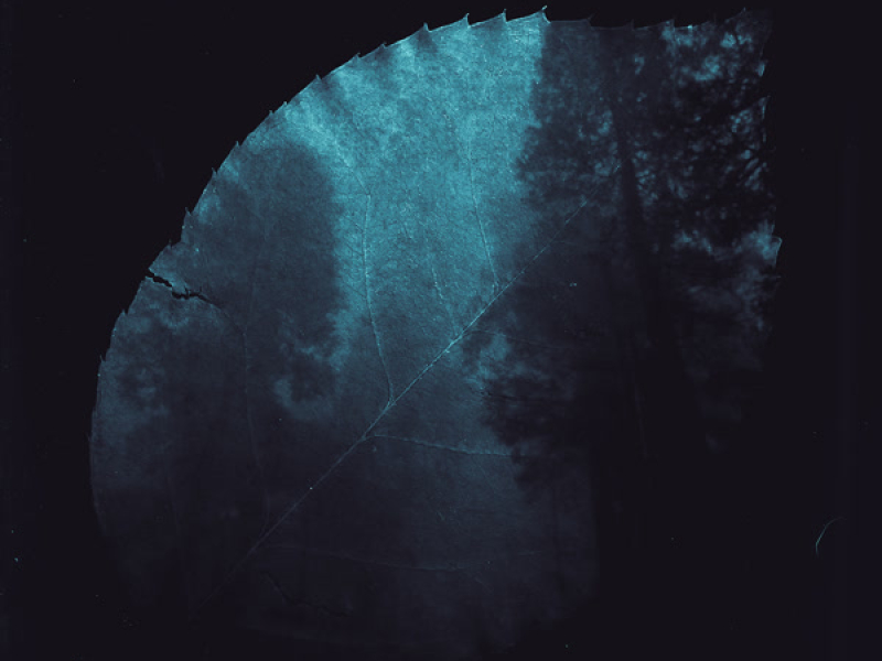 Cover My Own (Acoustic) (EP)