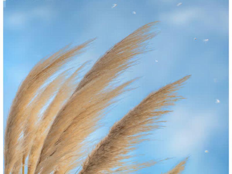 Make Me Feel (Like Dancing) (Single)