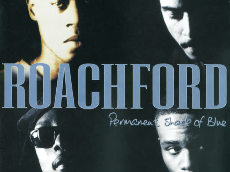 Permanent Shade Of Blue