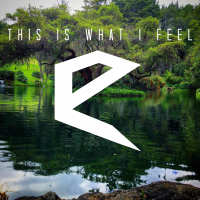 This is What I Feel (Radio Edit) (Single)