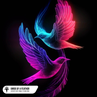 Birds Of A Feather (Single)