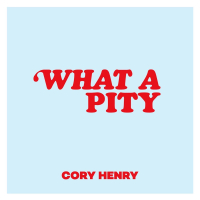 What a Pity (Single)