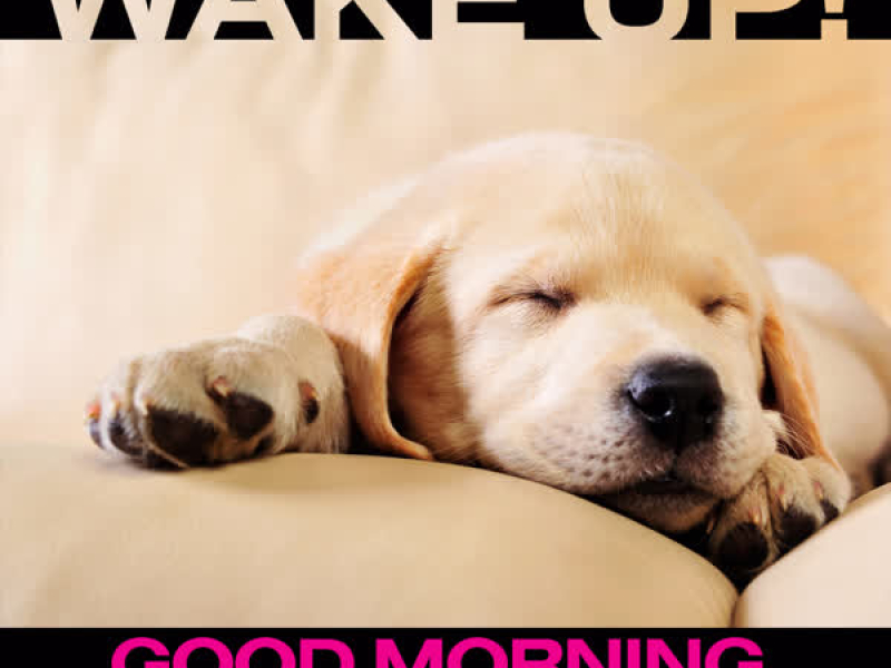 Wake Up! Good Morning, Good Day Songs