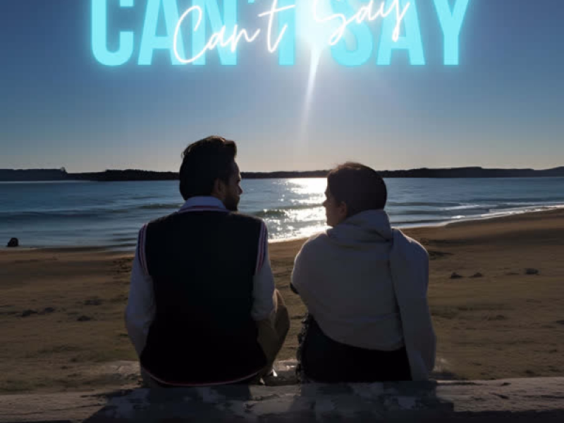 Can't Say (Single)