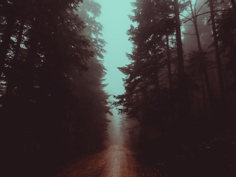 Something's Missing (Single)