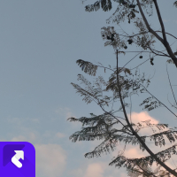 我真的好疲惫 (Single)