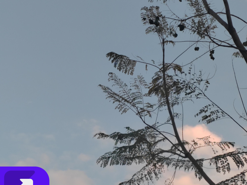 我真的好疲惫 (Single)