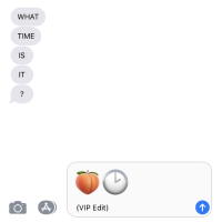 Booty Time (VIP Edit) (Single)