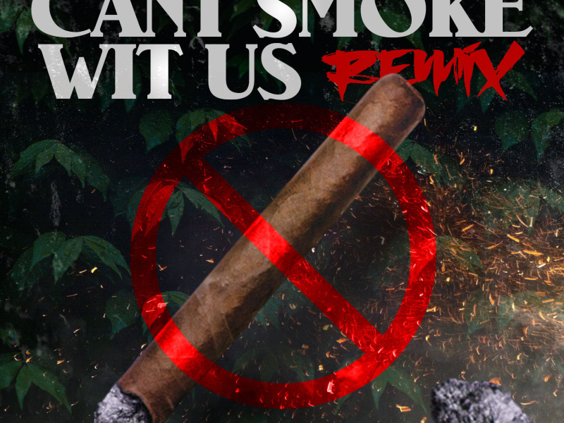 Can't Smoke Wit Us (Remix) [feat. AKA SOLO]